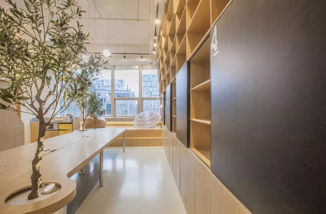 牛在墻上飛，猴子樹梢醉；這是在動物園辦公嗎？